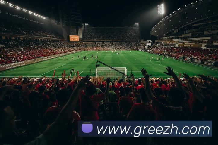 多彩内容专区